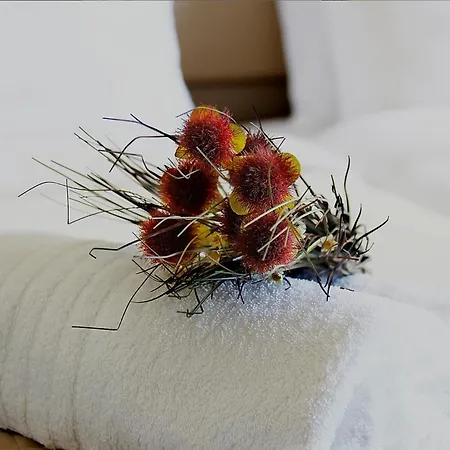 Diogenis Hotel Ermupoli