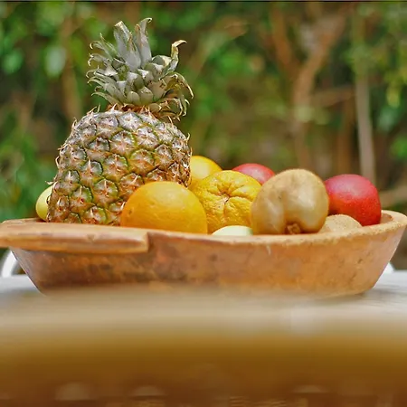 Otel Diogenis Ermoupoli