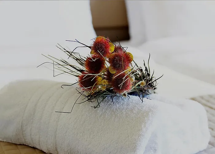 Diogenis Otel Ermoupoli